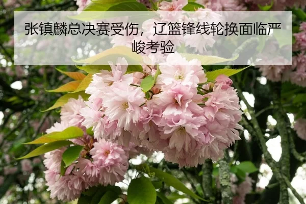 zhang-zhen-lin-zong-jue-sai-shou-shang-liao-lan-feng-xian-lun-huan-mian-lin-yan-jun-kao-yan-3-281.jpg