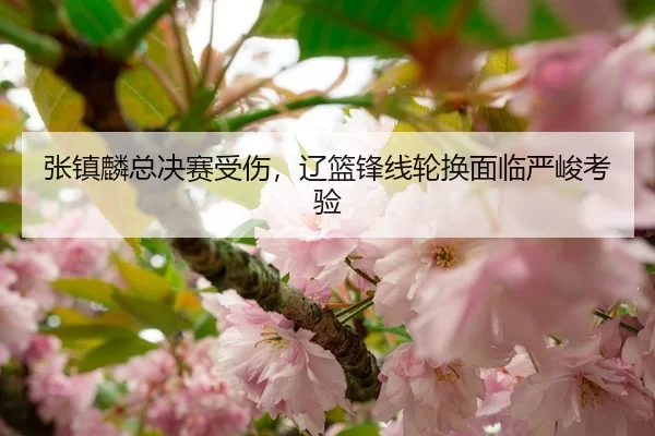 张镇麟总决赛受伤，辽篮锋线轮换面临严峻考验