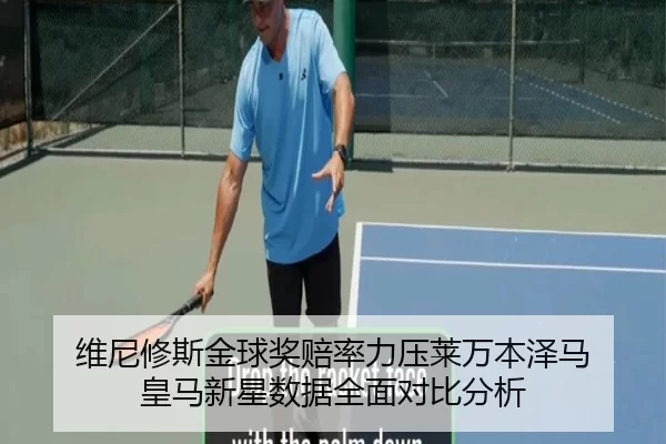 wei-ni-xiu-si-jin-qiu-jiang-pei-lv-li-ya-lai-wan-ben-ze-ma-huang-ma-xin-xing-shu-ju-quan-mian-dui-bi-fen-xi-3-960.jpg