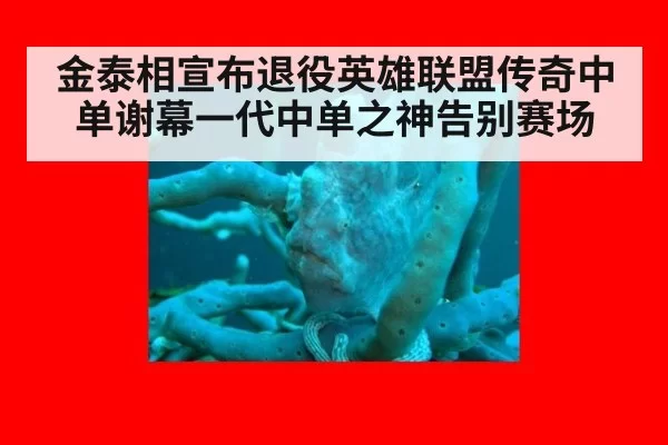 金泰相宣布退役英雄联盟传奇中单谢幕一代中单之神告别赛场